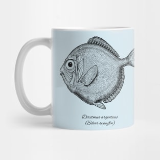 Diretmus argenteus Mug